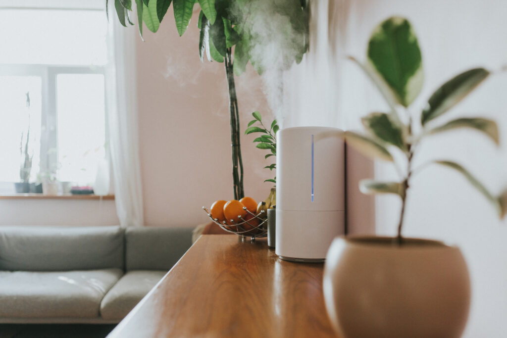 humidifier on a drawer with palm trees in the background
