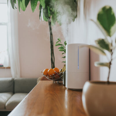 humidifier on a drawer with palm trees in the background