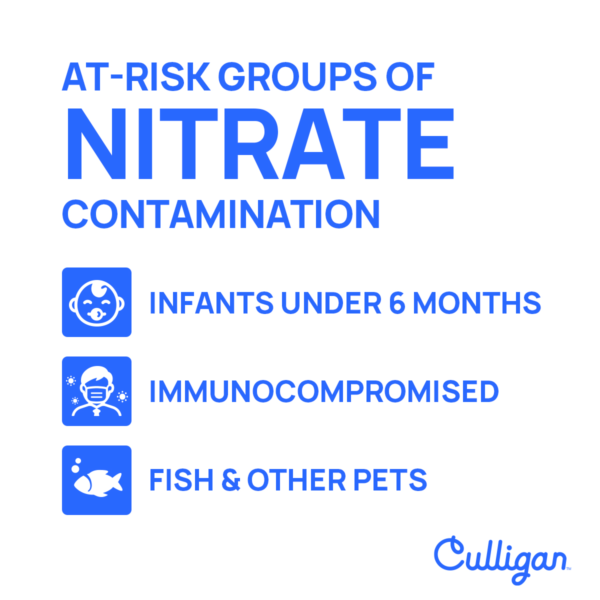 graphic explaining at-risk groups for nitrate contamination